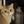Sophia Chen
