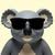 StunningKoala3421