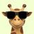 PurpleGiraffe5800