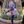 Emily Lin