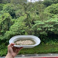 可能是 1 人的圖像