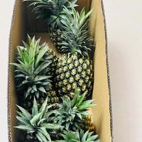 可能是水果的圖像