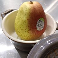 可能是梨子的圖像