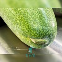 可能是西瓜和文字的圖像