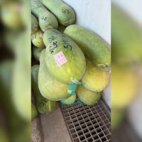 可能是西瓜的圖像