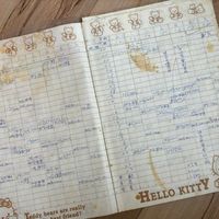可能是日記和文字的圖像