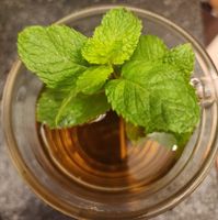可能是茶的圖像
