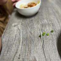 可能是豌豆糊、粥和拉麵的圖像