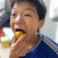 可能是 1 人、炸丸子和龍眼的圖像