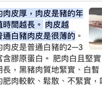 可能是文字的圖像