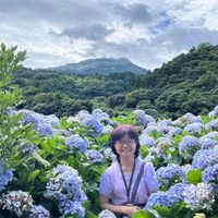 可能是 1 人、勿忘草和雲的圖像