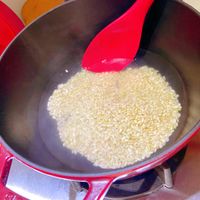可能是粥、北非小米飯和炒飯的圖像