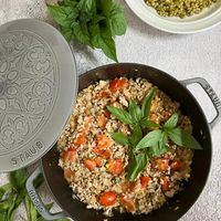 可能是北非小米飯、炒飯、西班牙大鍋飯和印度香料飯的圖像
