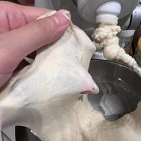 可能是法式長棍麵包的圖像
