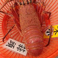 可能是文字的圖像