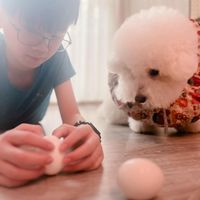可能是 1 人和蛋黃的圖像