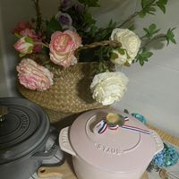 可能是顯示的文字是「 staub STAUE 三 STAUB STAUE 」的圖像