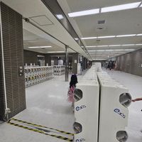 可能是 5 個人和喇叭的圖像