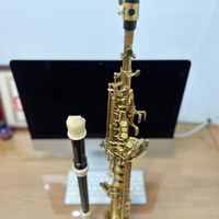 可能是雙簧管、薩克斯風、長笛和單簧管的圖像