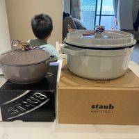 可能是 1 人和顯示的文字是「 staub staub MADEINFRANCE 」的圖像