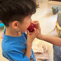可能是 1 人、小孩和玩具的圖像