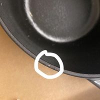 可能是壁蝨的圖像