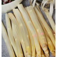 可能是麵包棒的圖像