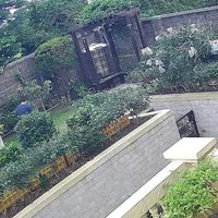 可能是 1 人和草的圖像