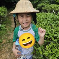可能是 1 人、帽子和文字的圖像