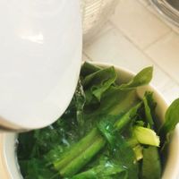 可能是綠葉甘藍和莙薘菜的圖像