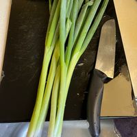 可能是食物的圖像