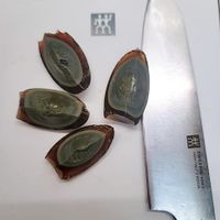 可能是刀的圖像
