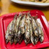 可能是鯷魚的圖像