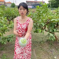可能是 1 人、無花果和龍眼的圖像