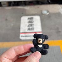 可能是玩具的圖像