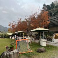 可能是 7 個人、大家在露營、樹和草的圖像