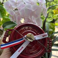 可能是顯示的文字是「 staub U staub 」的圖像