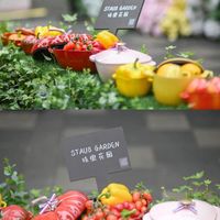 可能是水果和顯示的文字是「 STAUS TAUSGARDEN GARDEN 精皇花園 STAUBGARDEN STAUB GARDEN 菇皇花园 小红书 だだ！ 小紅書號： 小紅書號：264213266 264213266 」的圖像