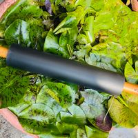 可能是莙薘菜和顯示的文字是「 STAUB STAUB 김 」的圖像