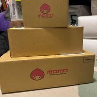 可能是顯示的文字是「 momo www.mamo.com.tw www.momo.con momo 」的圖像