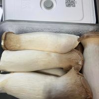 可能是香菇和馬勃菇的圖像