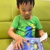 未提供相片說明。