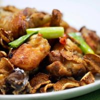 未提供相片說明。