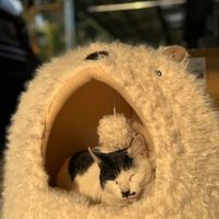 未提供相片說明。