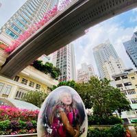 未提供相片說明。