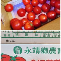 未提供相片說明。