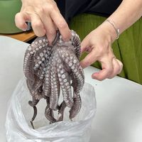可能是 1 人的圖像