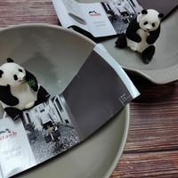 可能是貓熊和文字的圖像