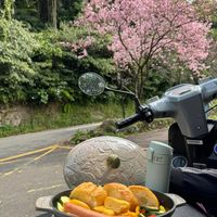未提供相片說明。