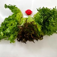 未提供相片說明。